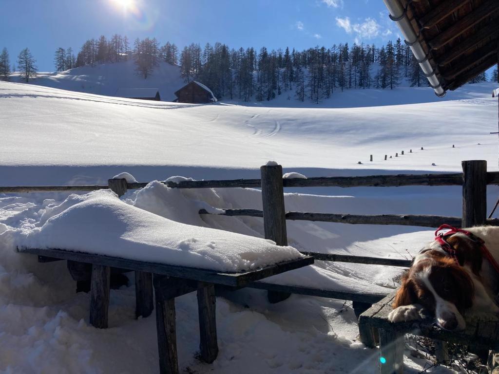 Appartementhaus Reiter Village Room Altenmarkt im Pongau Εξωτερικό φωτογραφία